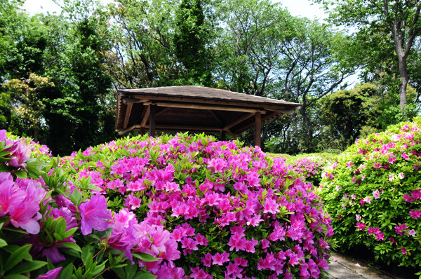 20130425010.jpg