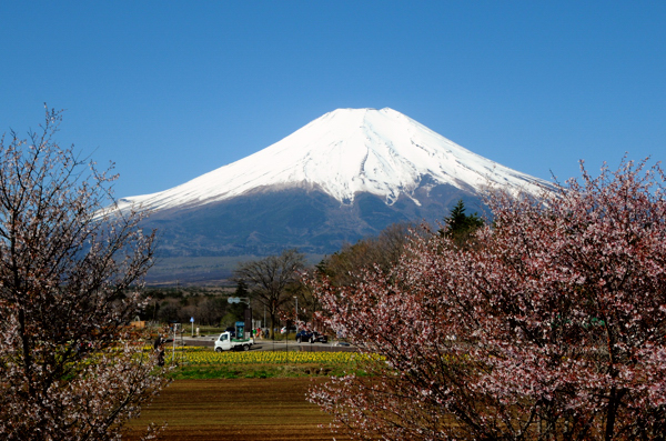 20130428hana001.jpg