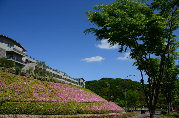 20130505kokusai003.jpg