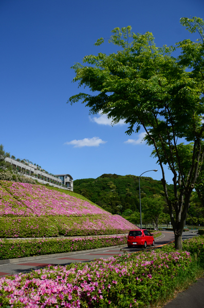 20130505kokusai008.jpg