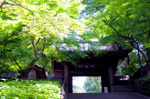 20130513en003.jpg
