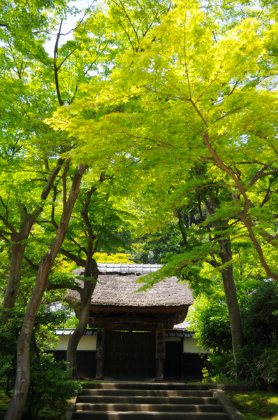 20130513en008.jpg