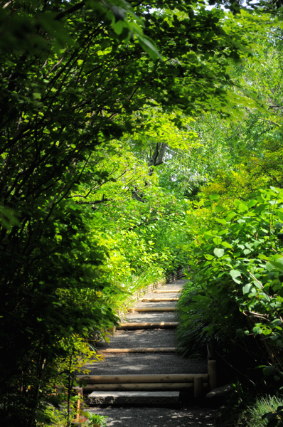 20130513me004.jpg