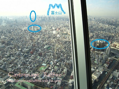 東京スカイツリーからの景色2