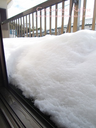 2014年2月大雪2