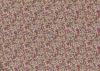 2549_1_expand.jpg