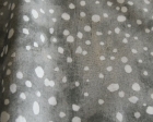 t_ma_001_01_380.jpg