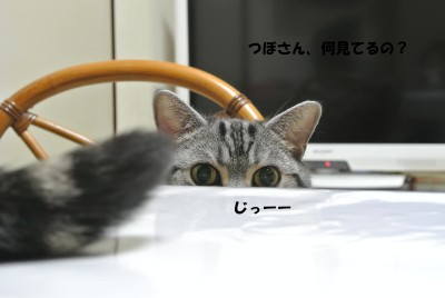 2013011601.jpg