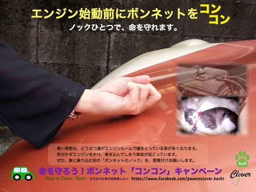2014-1017-000.jpg