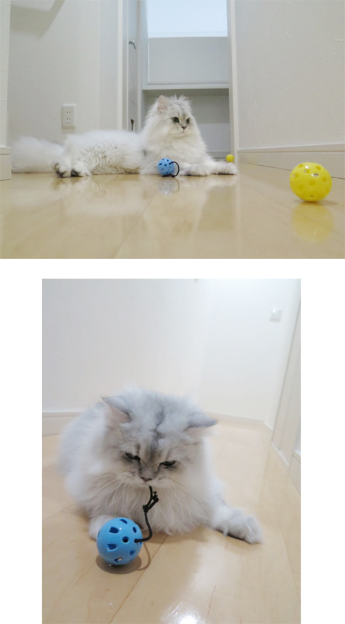 2014-1017-1.jpg