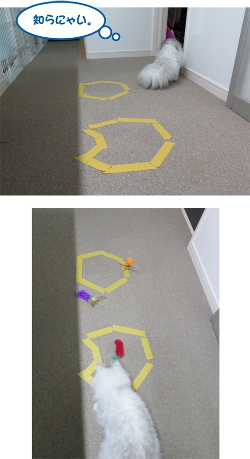 2014-1027-3.jpg
