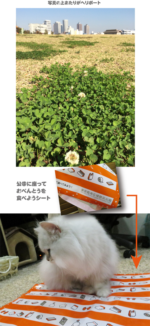 2014-1030-2.jpg