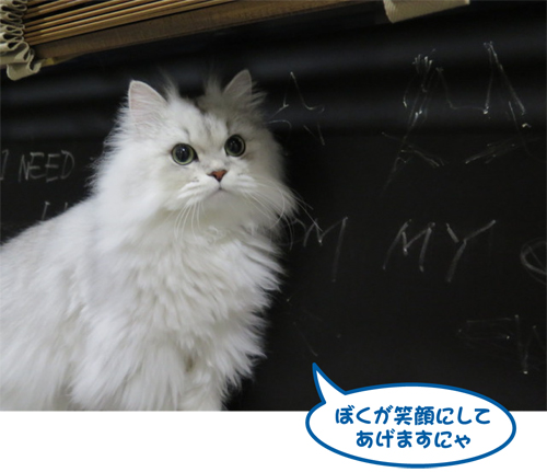 2014-1122-1.jpg