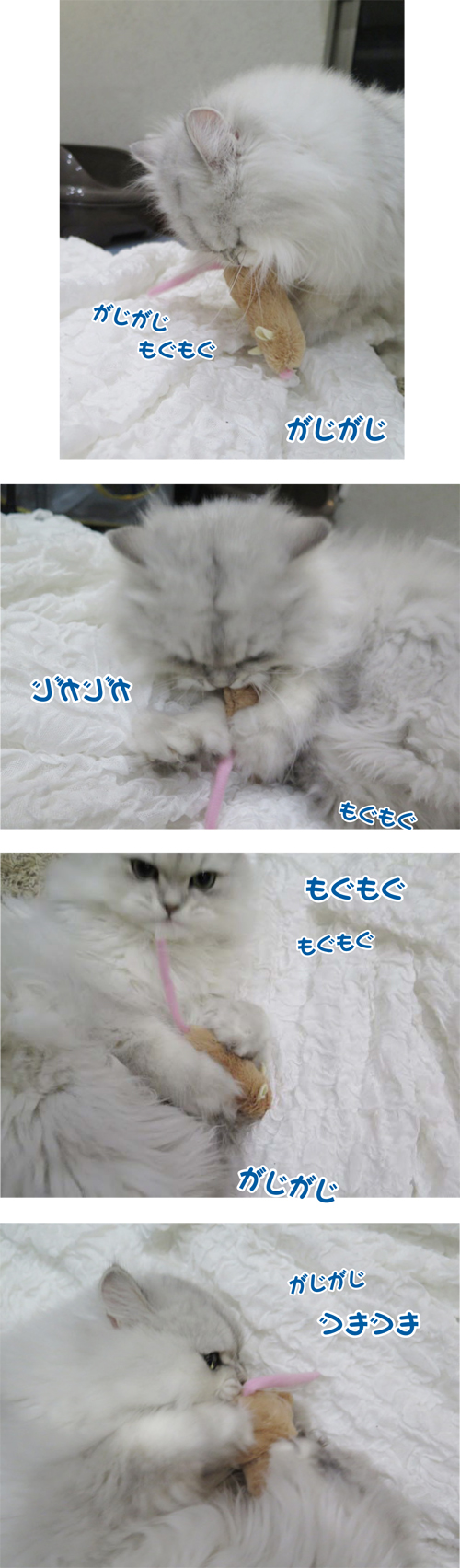 2014-1122-3.jpg