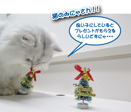 2014-1128-2.jpg