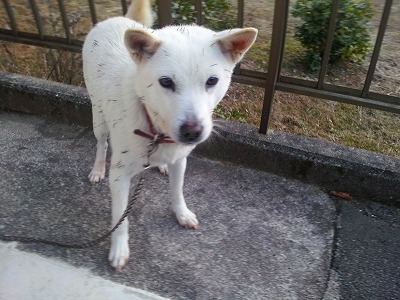 20121224_073243.jpg