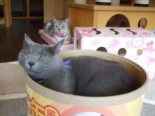 襲われる