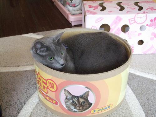 襲われる