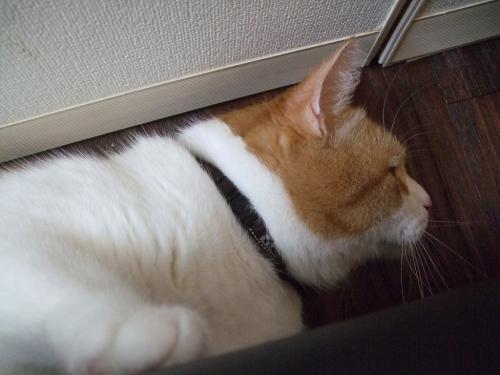 ルパン