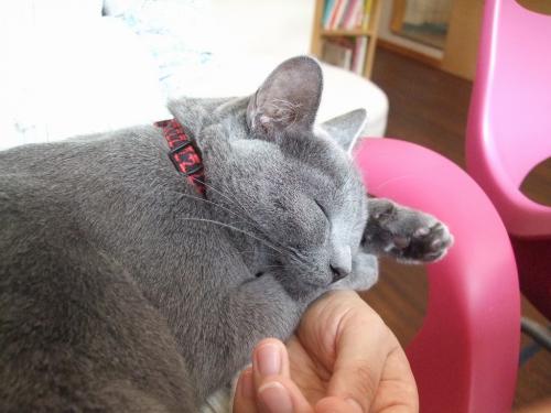 ベル