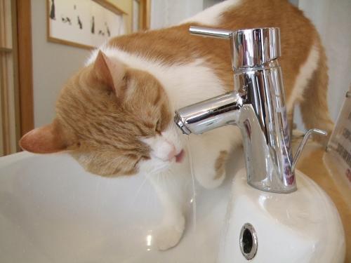 水