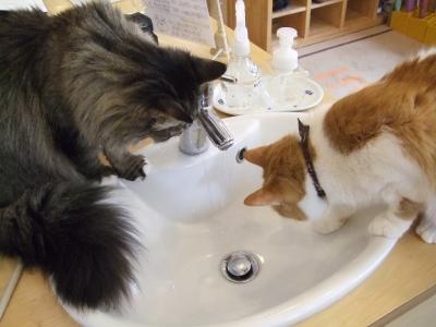 ボスと裏ボス
