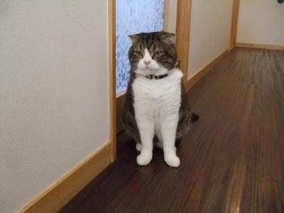おひさしぶり?