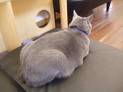 ルパン