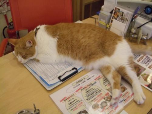 お仕事