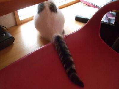 まちがってます