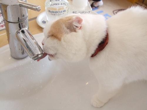 水