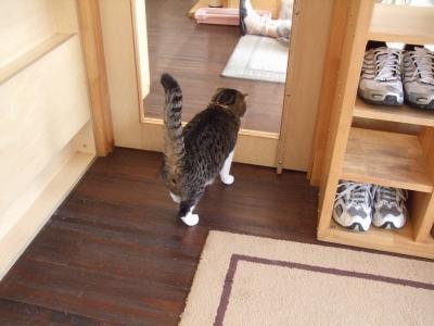 おひさしぶり?