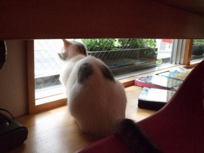 まちがってます