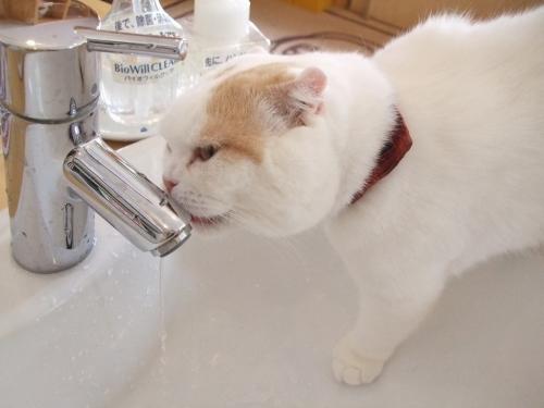 水