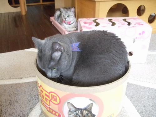 襲われる