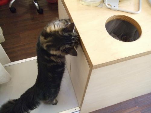 あずき