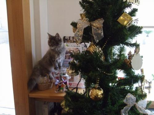 クリスマス