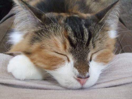 温もり