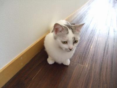 まちがってます