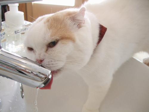 水
