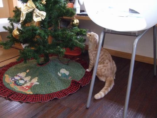 クリスマス