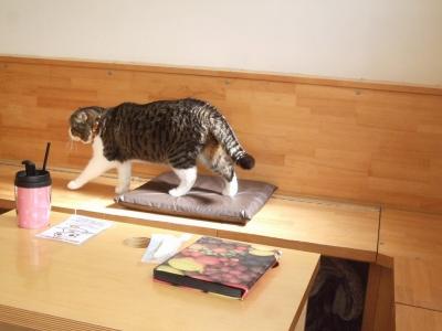 おひさしぶり?