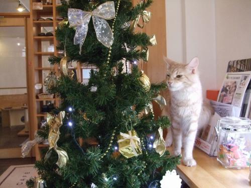 クリスマス