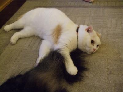 なかよし