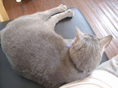 やればできる