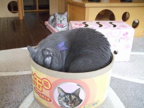 襲われる