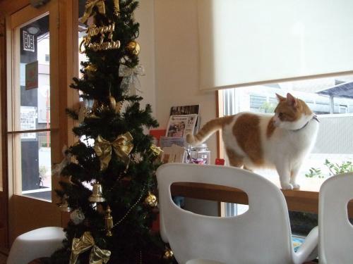 クリスマス