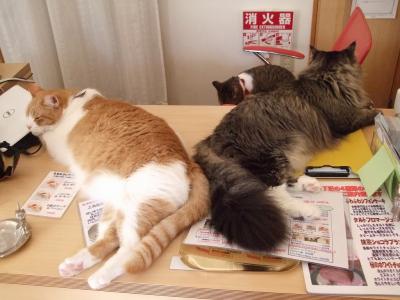 ボスと裏ボス