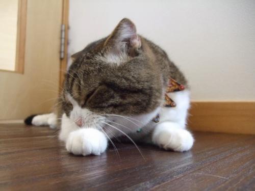 大晦日