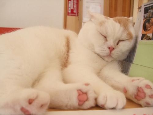 お仕事